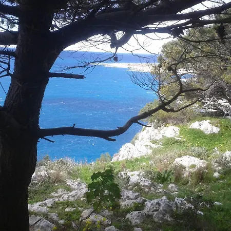 Giugno O Settembre In Offerta A Soli *